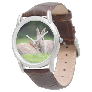 Cutest Baby Animals   Wild Bunny Rabbits Watch