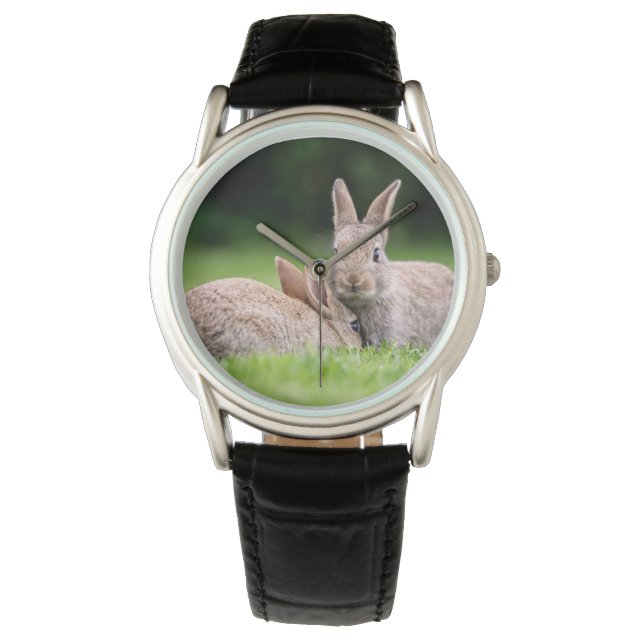 Cutest Baby Animals | Wild Bunny Rabbits Watch (Front)