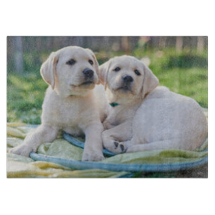Cutest Baby Animals Yellow Labrador Retrievers Cutting Board