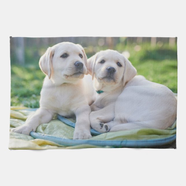Cutest Baby Animals | Yellow Labrador Retrievers Kitchen Towel (Horizontal)