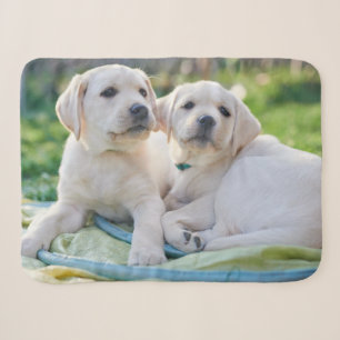 Cutest Baby Animals   Yellow Labrador Retrievers Sherpa Blanket