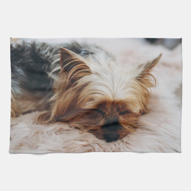 Cutest Baby Animals | Yorkshire Terrier Kitchen Towel (Horizontal)