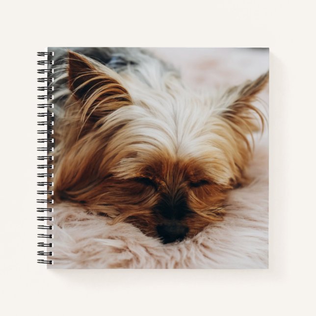 Cutest Baby Animals | Yorkshire Terrier Notebook (Front)