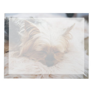 Cutest Baby Animals Yorkshire Terrier Notepad
