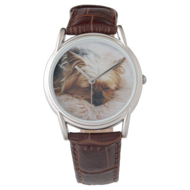 Cutest Baby Animals | Yorkshire Terrier Watch (Front)