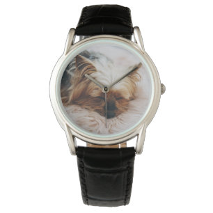 Cutest Baby Animals   Yorkshire Terrier Watch