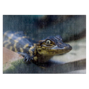 Cutest Baby Animals   Young Alligator Cutting Board