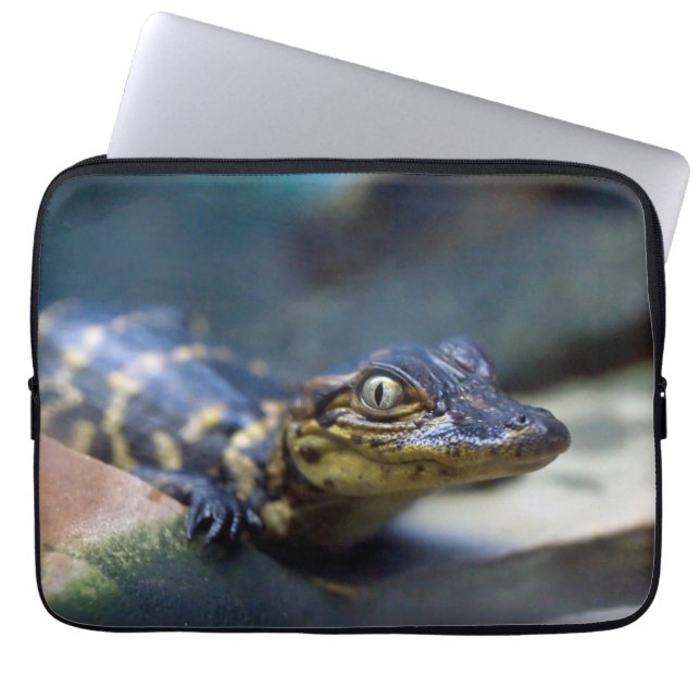 Cutest Baby Animals | Young Alligator Laptop Sleeve (Front)