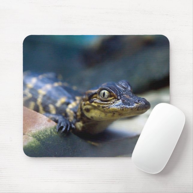 Cutest Baby Animals | Young Alligator Mouse Pad (With Mouse)
