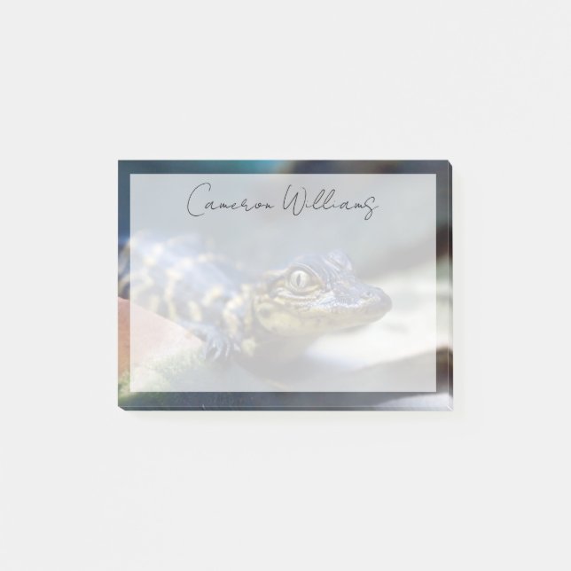 Cutest Baby Animals | Young Alligator Post-it Notes (Front)