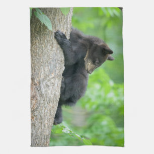 Cutest Baby Animals   Young Black Bear Cub Kitchen Towel