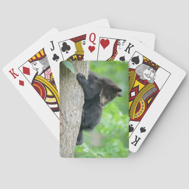 Cutest Baby Animals | Young Black Bear Cub Playing Cards (Back)