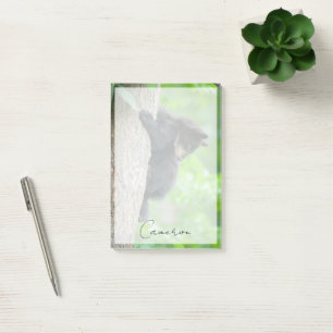 Cutest Baby Animals Young Black Bear Cub Post-it Notes