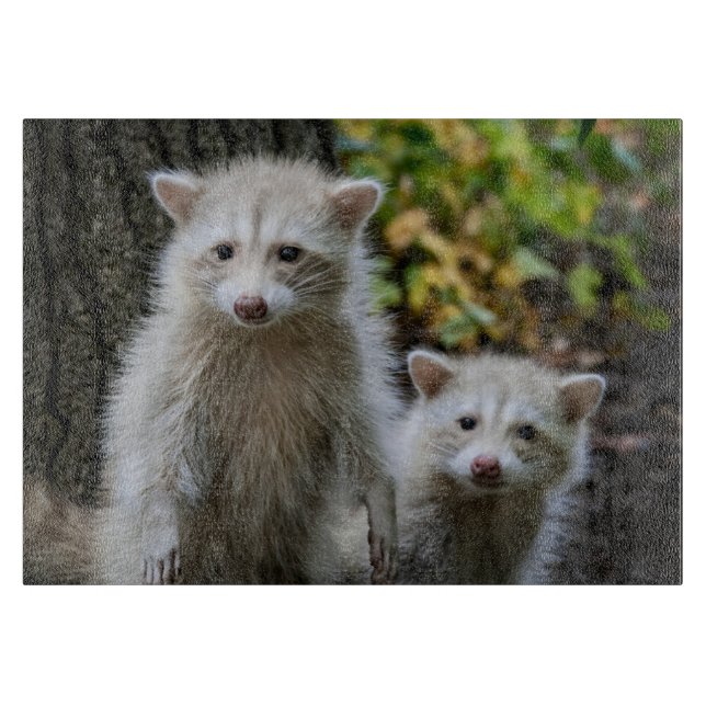 Cutest Baby Animals | Young Blonde Raccoons Cutting Board (Front)