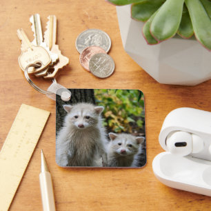 Cutest Baby Animals   Young Blonde Raccoons Keychain