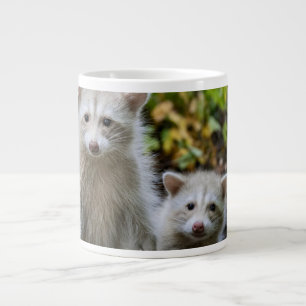 Cutest Baby Animals   Young Blonde Raccoons Large Coffee Mug