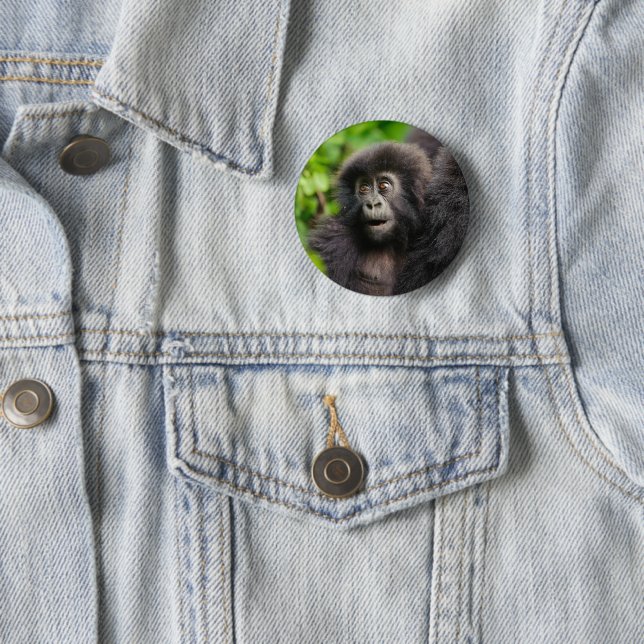 Cutest Baby Animals | Young Mountain Gorilla 2 Inch Round Button (In Situ)