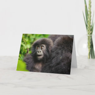 Cutest Baby Animals Young Mountain Gorilla Card