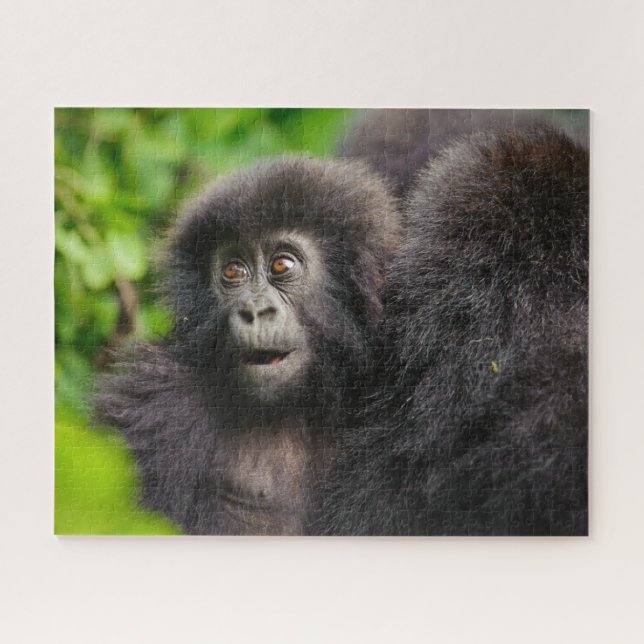 Cutest Baby Animals | Young Mountain Gorilla Jigsaw Puzzle (Horizontal)