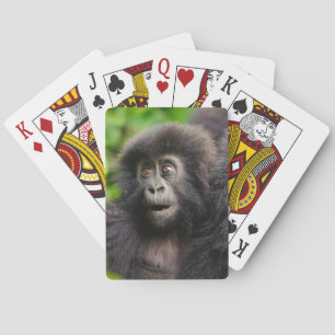 Cutest Baby Animals Young Mountain Gorilla Playing Cards