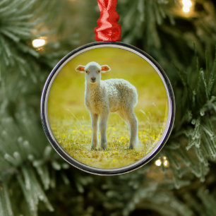 Cutest Baby Animals   Young Sheep Metal Ornament