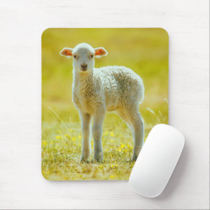 Cutest Baby Animals Young Sheep Mouse Pad
