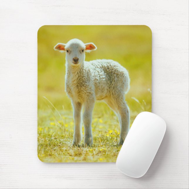 Cutest Baby Animals | Young Sheep Mouse Pad (With Mouse)