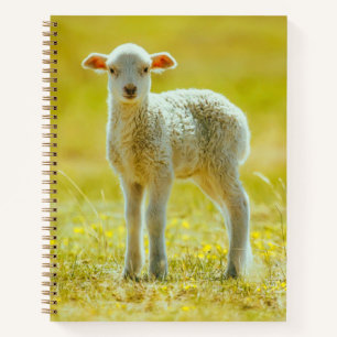 Cutest Baby Animals   Young Sheep Notebook