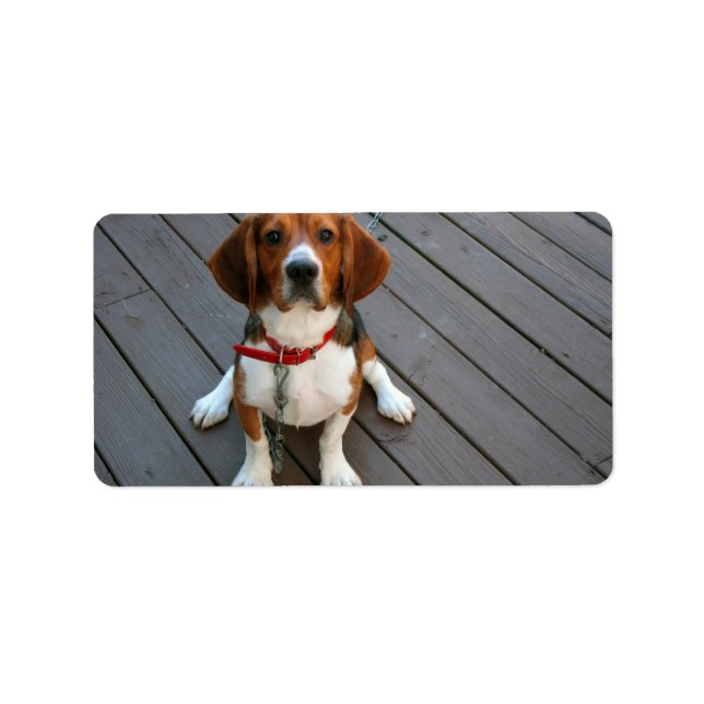 Cutest Beagle Dog Ever Label (Front)