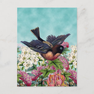 cutest bird with blue eyes flying over flowers postcard