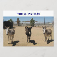 Cutest Birthday Burros Western