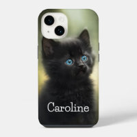 Cutest Black Kitten With Blue Eyes, Customizable