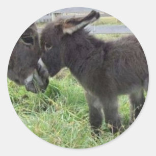 cutest burro classic round sticker