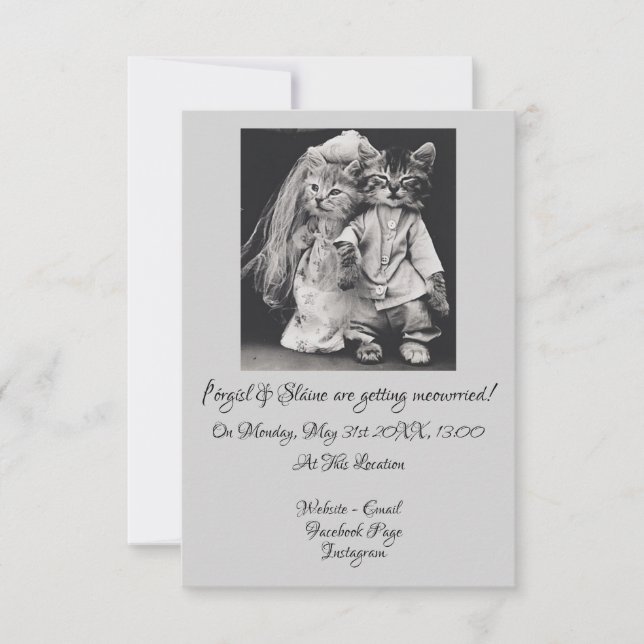 Cutest Cat-Themed Wedding Invitation Ever (Front)