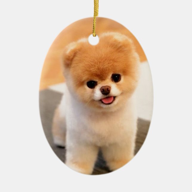 Cutest Dog in the world Ceramic Ornament (Front)