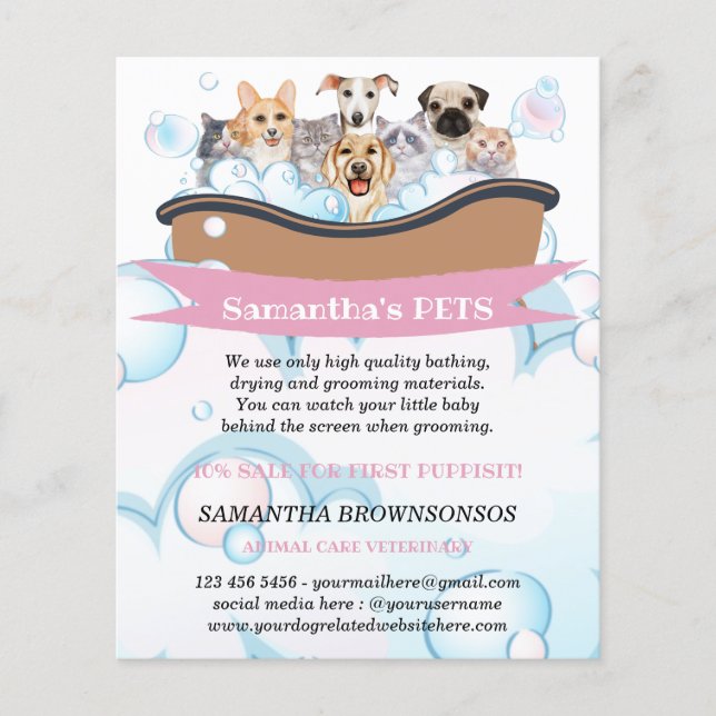 Cutest Dogs Cats Spa Sitter Groom PetCare Services Flyer (Front)