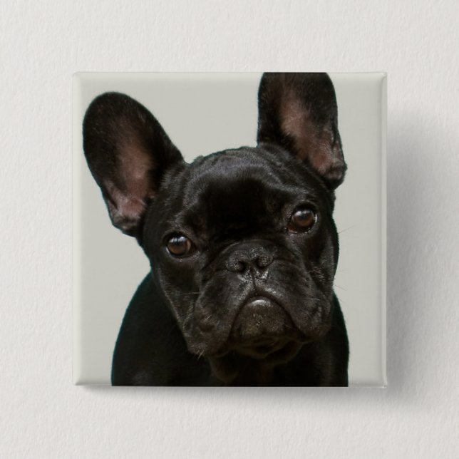 Cutest French Bulldog Puppy 2 Inch Square Button (Front)