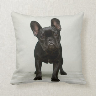 Cutest French Bulldog Puppy Throw Pillow