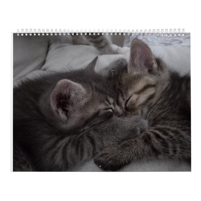 Cutest Kittens Calendar (Cover)
