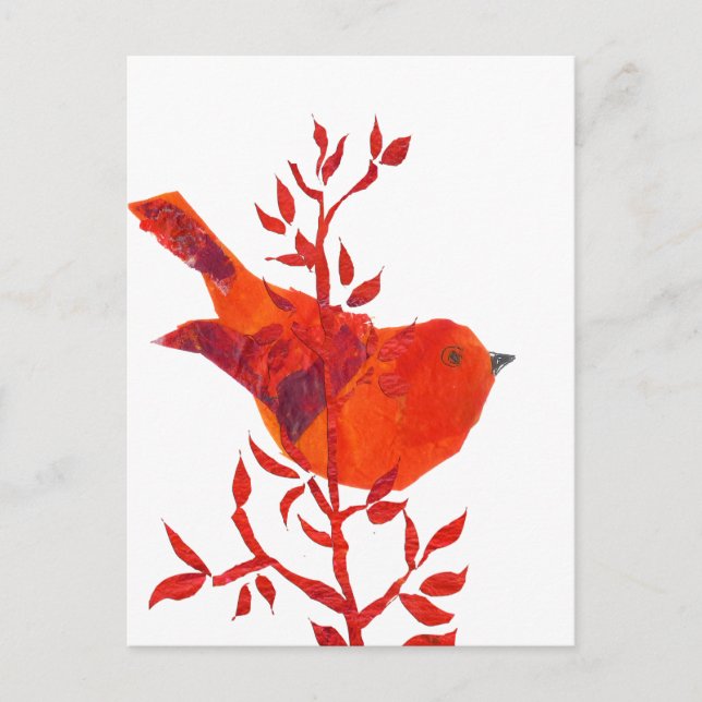 Cutest Red Bird on the planet Postcard (Front)
