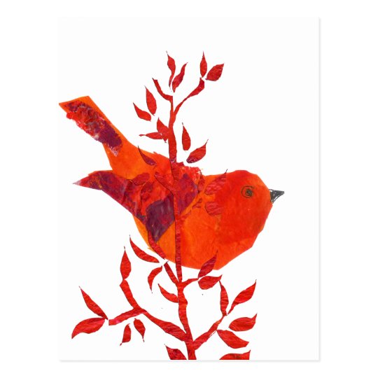 Cutest Red Bird on the planet Postcard