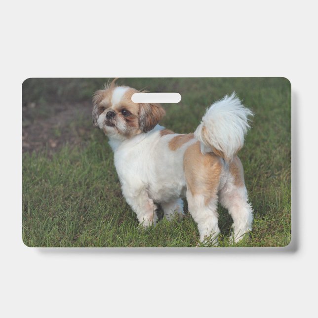 Cutest Shih Tzu Badge (Front)