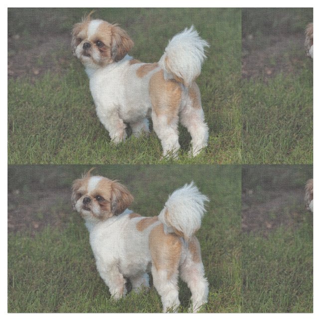 Cutest Shih Tzu Fabric (Close Up)