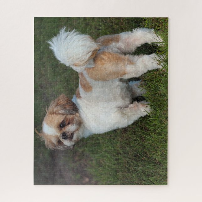 Cutest Shih Tzu Jigsaw Puzzle (Vertical)