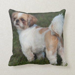 Cutest Shih Tzu Throw Pillow