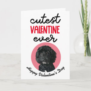 Cutest Valentine Ever ..from your Cockapoo Holiday Card