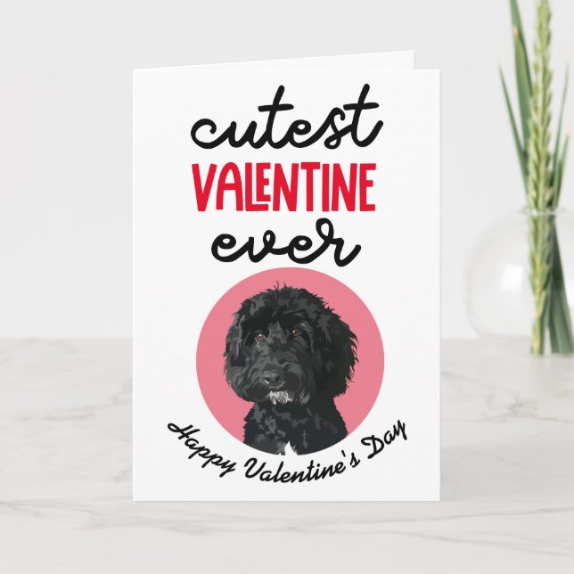 Cutest Valentine Ever ..from your Cockapoo Holiday Card (Front)