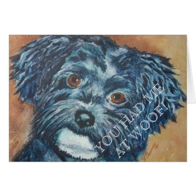 CUTIE BLACK HAVANESE (Front Horizontal)