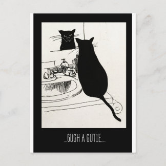 cutie cat postcard