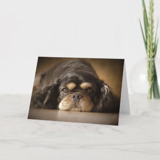 Cutie Cav! Card